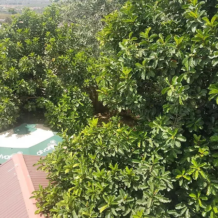 Hotel Shield Park Narok